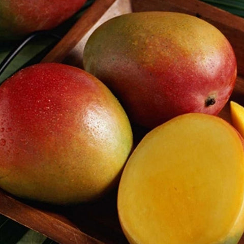 cordell's: Alfoos Mango - White Balsamic Vinegar - Balsamic Vinegar