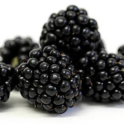 cordell's: Blackberry Ginger - Dark Balsamic Vinegar - Balsamic Vinegar