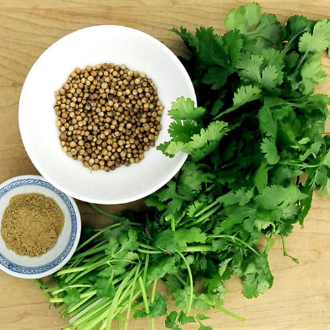 cordell's: Cilantro & Roasted Onion - Infused Olive Oil - Olive Oil