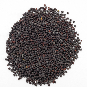 cordell's: Mustard Seed, Dark - Spice