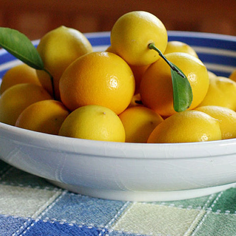 cordell's: Sicilian Lemon - White Balsamic Vinegar - Balsamic Vinegar