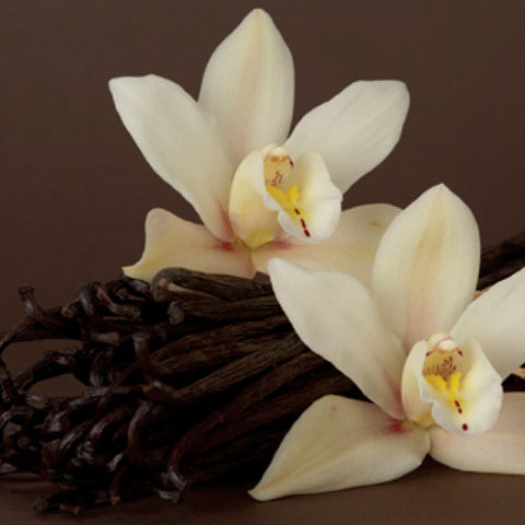 cordell's: Vanilla - Dark Balsamic Vinegar - Balsamic Vinegar